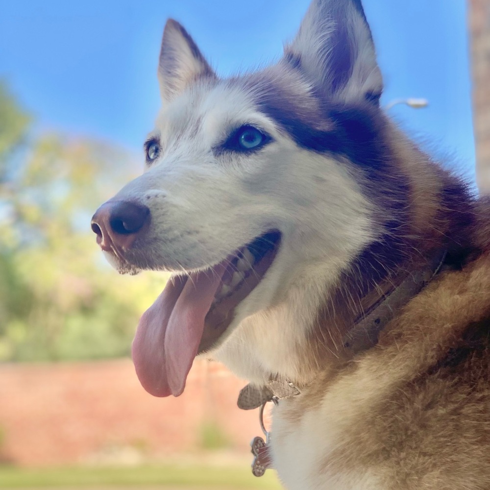 Curated by Cinnamon Spice